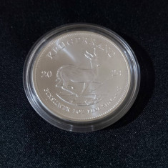 Africa de Sud 2024 - 1 OZ - Krugerrand - Argint moneda , UNC