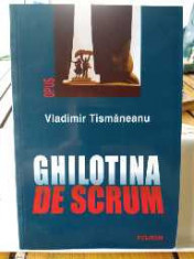 Ghilotina de scrum. Vladimir Tismaneanu. Ed. Polirom, 2002 foto