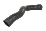 Palnie, filtru de aer MERCEDES-BENZ VITO caroserie (W638) (1997 - 2003) THERMOTEC DCM055TT