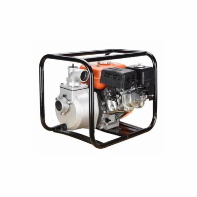 WOLFSON - MOTOPOMPA APA WT-20, 2 TOLI PowerTool TopQuality foto