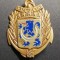 Insigna Militara Regimentala Compania 33 Sissonne Franța Drago G 2124