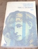 LITR23 Mica Dorrit