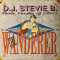 VINIL Stevie B (3) ?? The Wanderer (Remix) 12&quot; VG