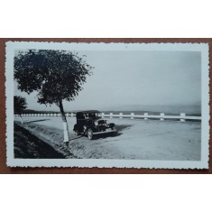 Fotograsfie, la plimbare pe Dealul Feleacului, Cluj 1934