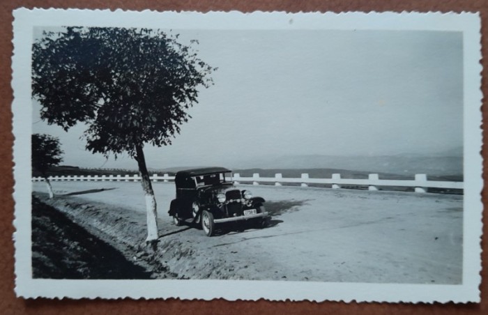 Fotograsfie, la plimbare pe Dealul Feleacului, Cluj 1934