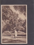QW23 B - Carte postala - tematica turism - vedere - Romania - Buzias 12