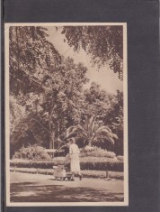 QW23 B - Carte postala - tematica turism - vedere - Romania - Buzias 12 - 1957