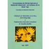 - Omagii si mesaje la a 80-a aniversare a profesorului universitar