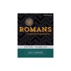 Romans Study Guide: Love in Action