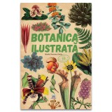 Botanica ilustrata