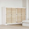 VidaXL Ușă de Dulap cu ușă 4 pcs natural 140.5 x 2.1 x 49.5 cm