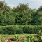 vidaXL Gard plasă de s&acirc;rmă, verde, 2x10 m, oțel galvanizat