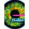 &Eacute;bred&eacute;sek - Feldm&aacute;r Andr&aacute;s