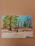 TABLOU PE PANZA CU SASIU NOU 30X40 CM PEISAJ DE IARNA ACRILIC PRET DOAR 20 LEI, Peisaje