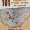101 American Fossil Sites You've Gotta See