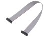 Cablu panglică SAMTEC IDC 203,2mm FFSD-10-D-08.00-01-N cu conectori IDC ambele părți