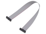 Cablu panglică SAMTEC IDC 203,2mm FFSD-10-D-08.00-01-N cu conectori IDC ambele părți