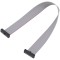 Cablu panglică SAMTEC IDC 203,2mm FFSD-10-D-08.00-01-N cu conectori IDC ambele părți