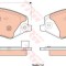 Set placute frana,frana disc LAND ROVER DISCOVERY IV (LA) (2009 - 2016) TRW GDB1898