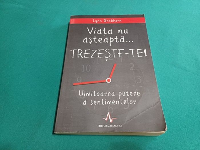 VIAȚA NU AȘTEAPTĂ...TREZEȘTE-TE / LYNN GRABHORN / 2000 * F