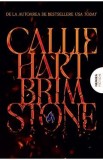 Brimstone. Seria Fae si Alchemy Vol.2 - Callie Hart