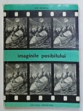 IMAGINILE POSIBILULUI de ION HOBANA , FILMUL STIINTIFICO - FANTASTIC , 1968