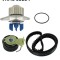 SKF VKMC 03254 Set pompa apa + curea dintata