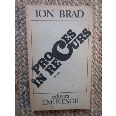 PROCES IN RECURS - Ion Brad