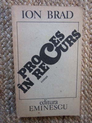 PROCES IN RECURS - Ion Brad foto