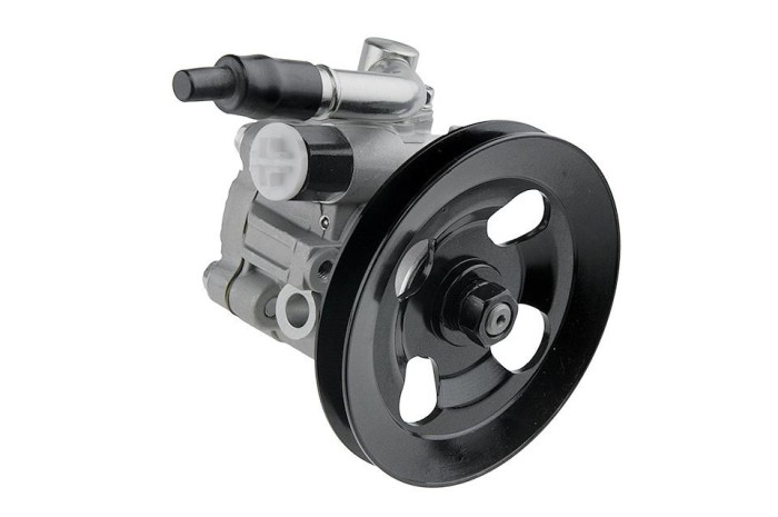 Pompa servodirectie Nissan Pick-Up 2.5d D22 1998-2005, NTY SPW-NS-002