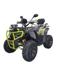 ATV XTR Pro Farmer X1 019, roti 10 inch, 250cc, 1+1 viteze, jante de aluminu, cu... Cod Produs: MX_NEW XTR-019/10PROX18-17