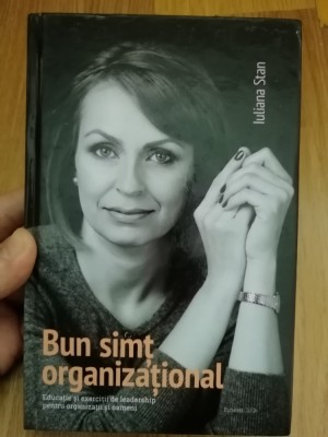 Bun simt organizational. Educatie si exercitii de leadership - Iuliana Stan 2013 foto