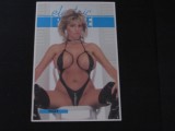 Carte Poștală Temă Erotică - Model Roxy , Modern 1993