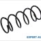 Arc fata Ford Focus (1998-2004) [DAW, DBW]