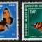 AFARS AND ISSAS 1976 FAUNA INSECTE FLUTURI