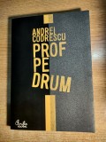 Cumpara ieftin Andrei Codrescu - Prof pe drum (Editura Curtea Veche, 2008)