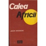 Calea Africii