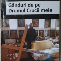 MARIUS IANUS - GANDURI DE PE DRUMUL CRUCII MELE (2014)