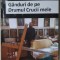 MARIUS IANUS - GANDURI DE PE DRUMUL CRUCII MELE (2014)