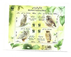iran pasari foto