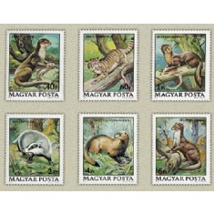 Ungaria 1979 - Fauna protejata, animale, serie neuzata