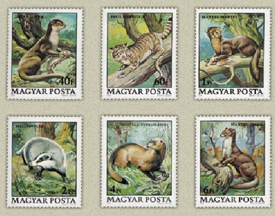 Ungaria 1979 - Fauna protejata, animale, serie neuzata
