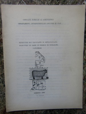 MIJLOACELE MAI IMPORTANTE DE RENTABILIZAREA PRODUCTIEI DE CARNE foto