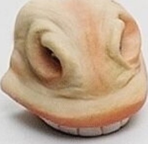 Bot de Cal foto