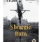 Shuggie bain - Douglas Stuart