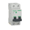 Siguranta automata 20A 2P C 4,5ka Easy9 Schneider EZ9F32220