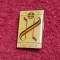 Insigna Campionatul Mondial de HOCHEI pe GHEATA Romania 1979