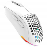 Mouse Gaming Aqirys T.G.A Alpha, RGB, 19000 dpi, alb
