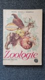 ZOOLOGIE MANUAL PENTRU CLASA A VI-A - Bogoescu, Dabija