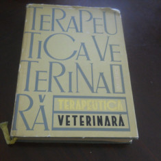 I. Marinescu - Terapeutica veterinara,1965